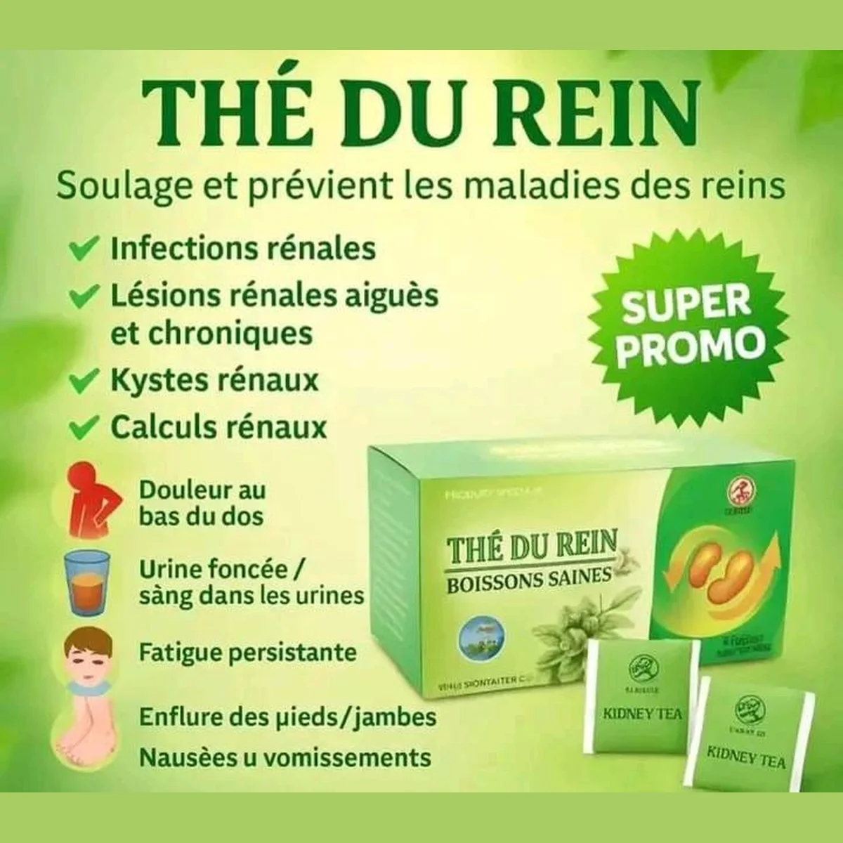 Le Thé du rein, Soin naturel très efficace et rapide des reins 4