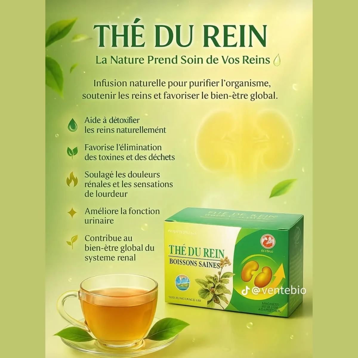 Le Thé du rein, Soin naturel très efficace et rapide des reins 5