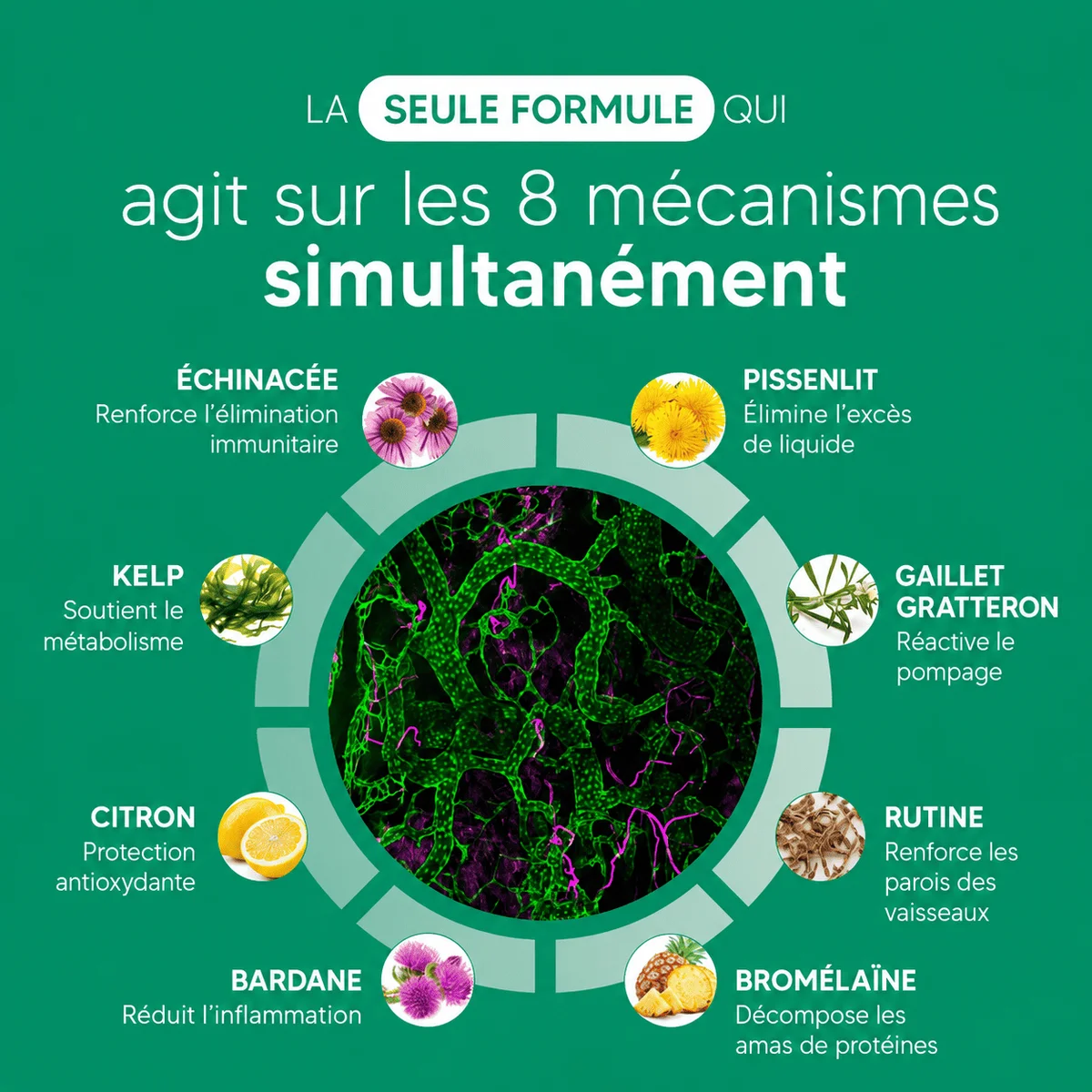 Nervia™ — Gélules de Drainage Lymphatique · Transformation totale en 60 jours 10