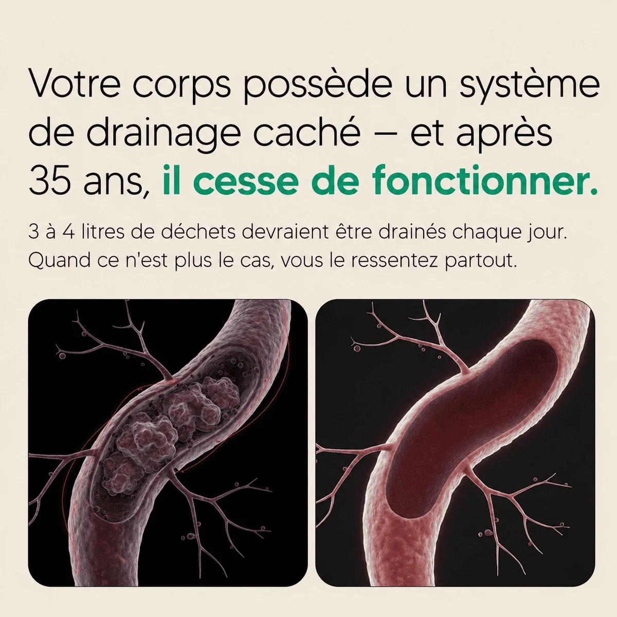 Nervia™ — Gélules de Drainage Lymphatique · Transformation totale en 60 jours 3