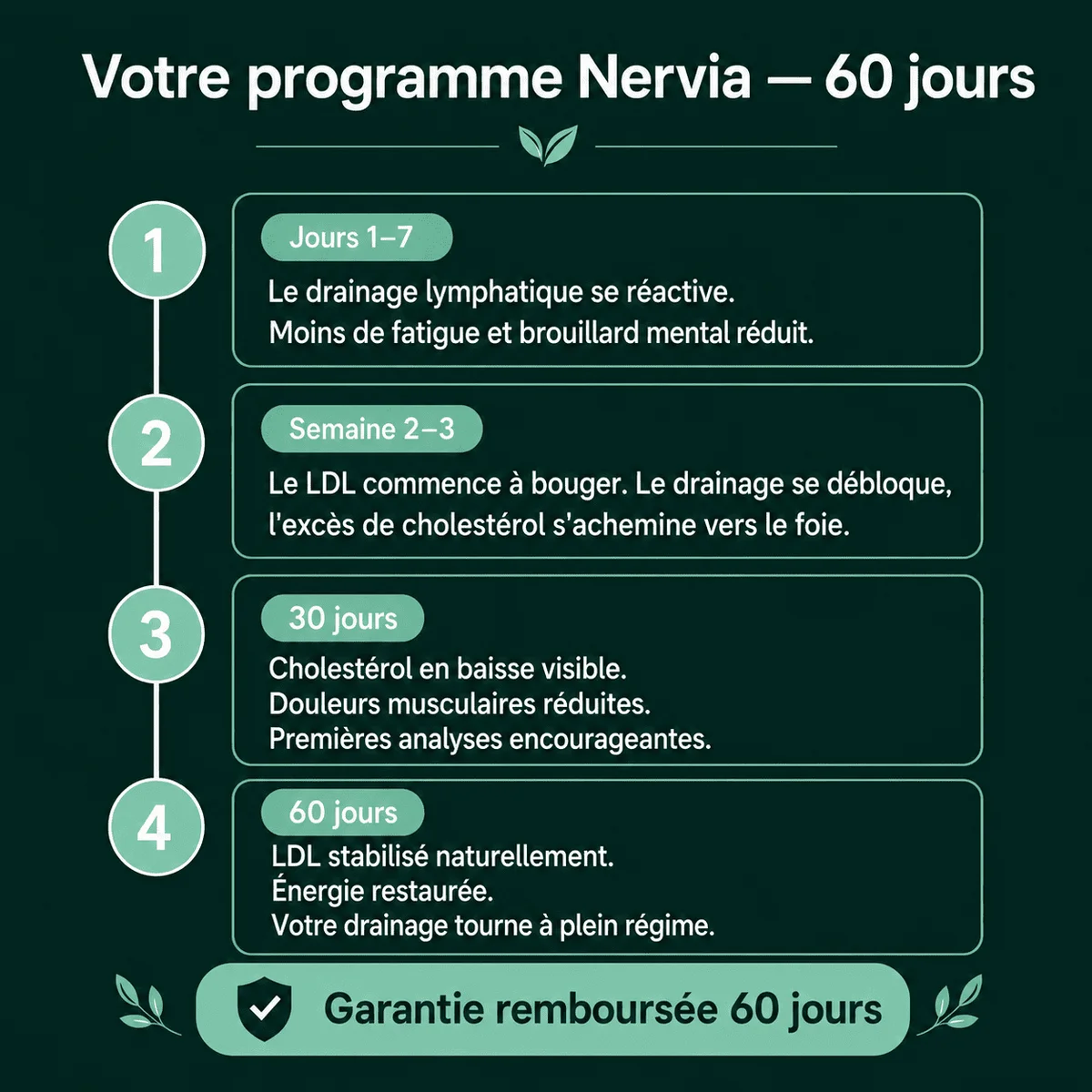 Nervia™ — Gélules de Drainage Lymphatique · Transformation totale en 60 jours 5